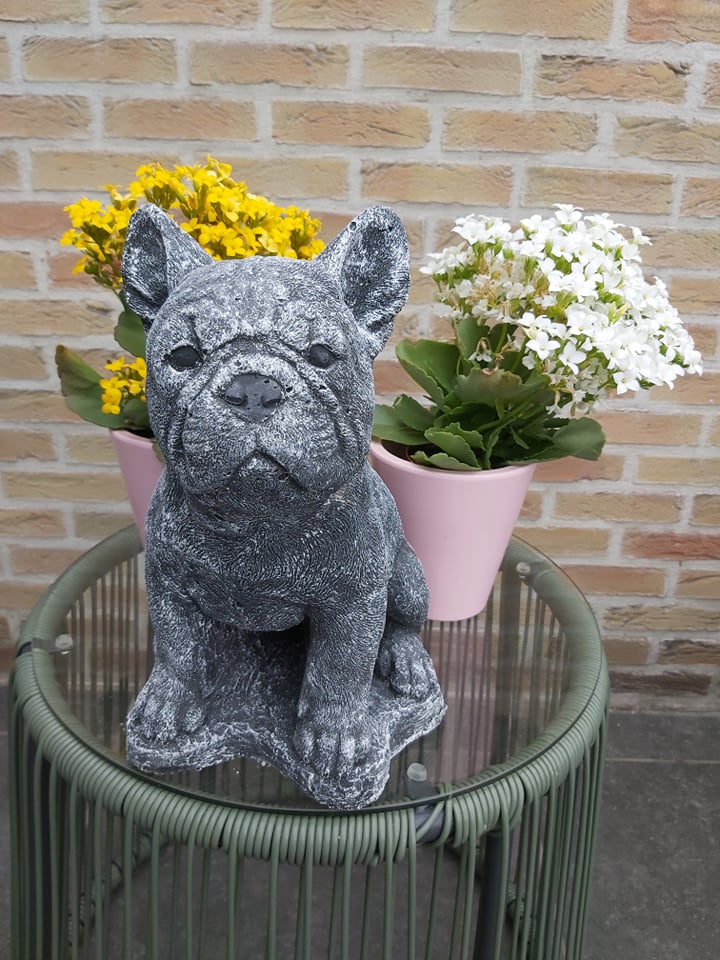 Franse bulldog 32cm grijs 