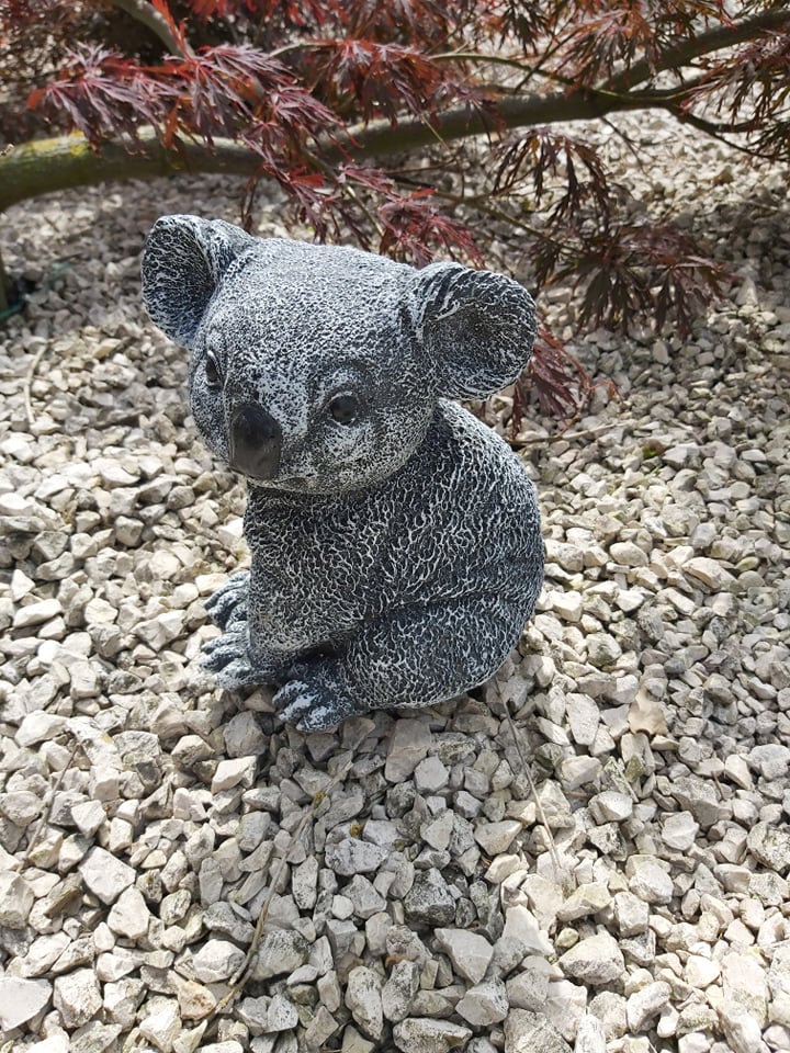 Koala klein