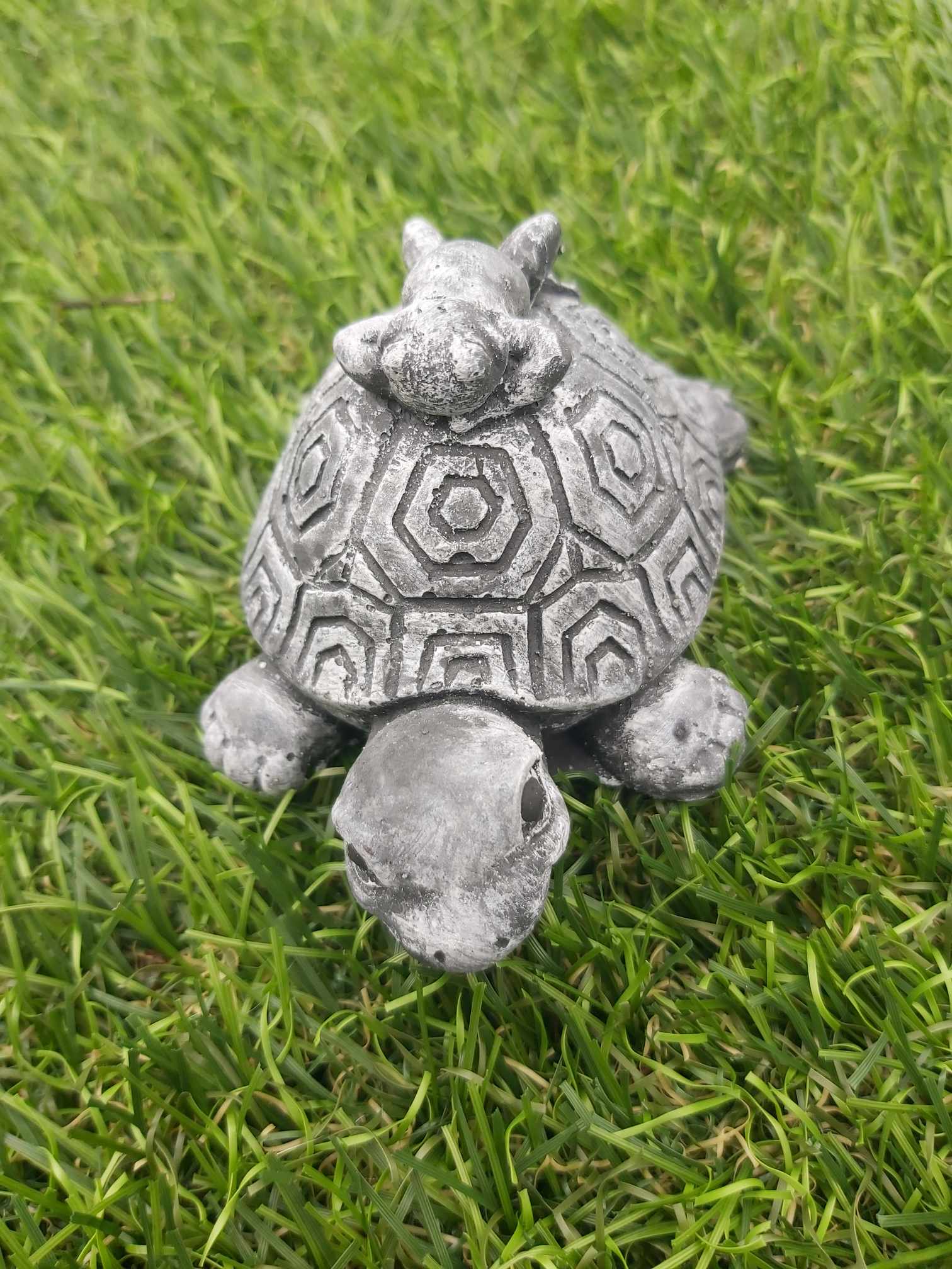 Mini schildpad met jong