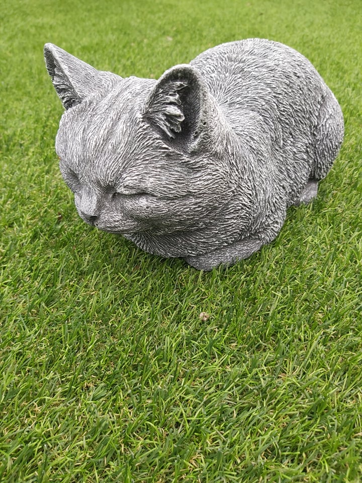 Relaxerende kat groot grijs
