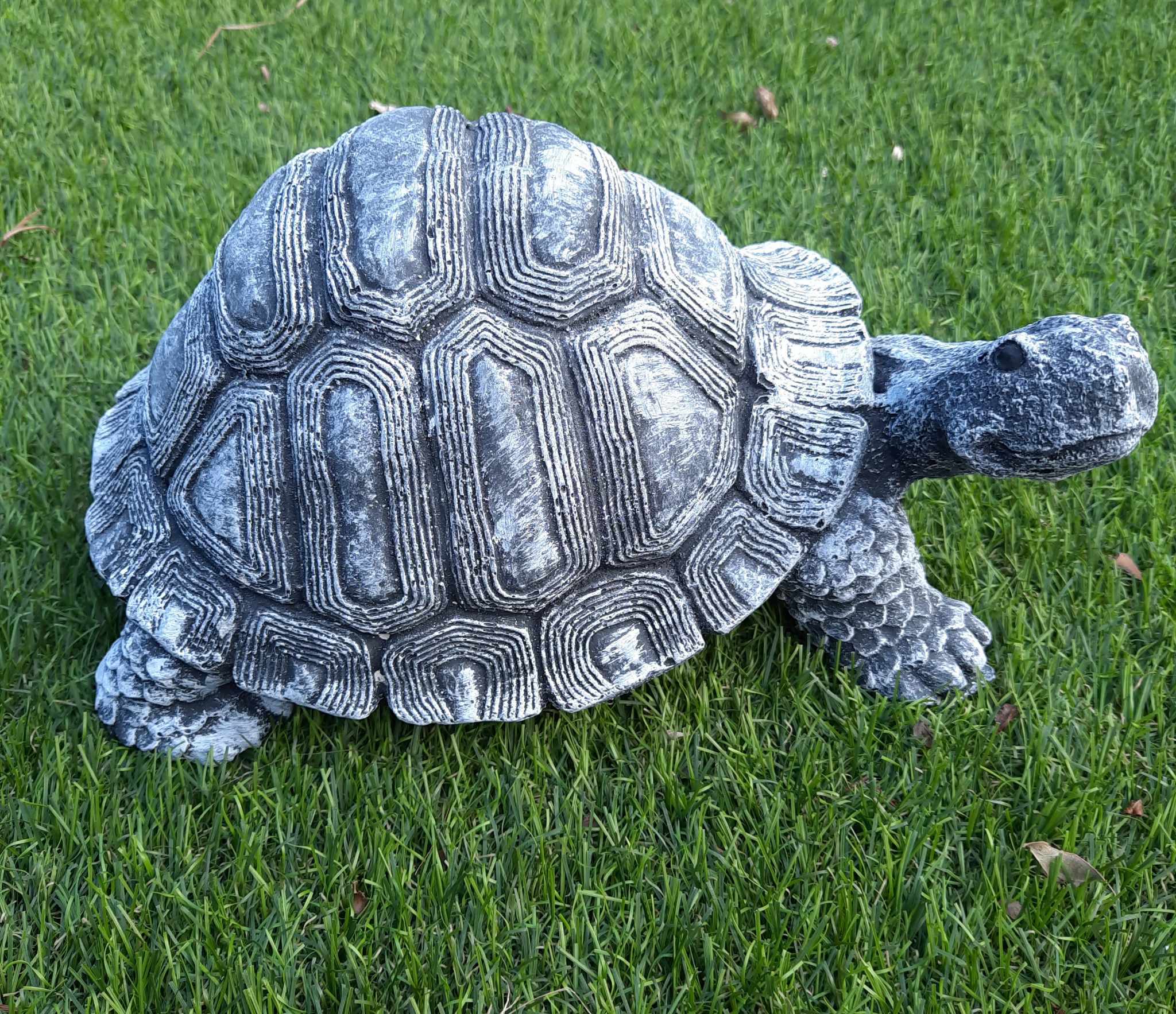 Schildpad groot 
